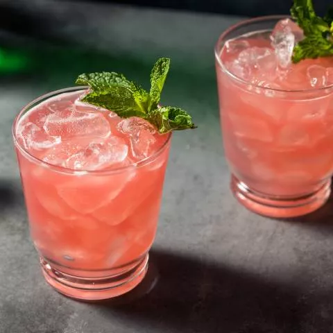 Watermelon Gin Fizz