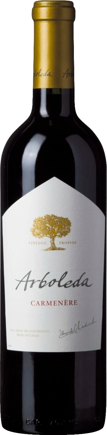 Карменер Долина Аконкагуа Винья Арболеда 2021 0.75 л