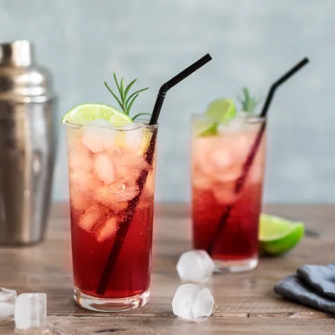 Blackcurrant Gin & Tonic