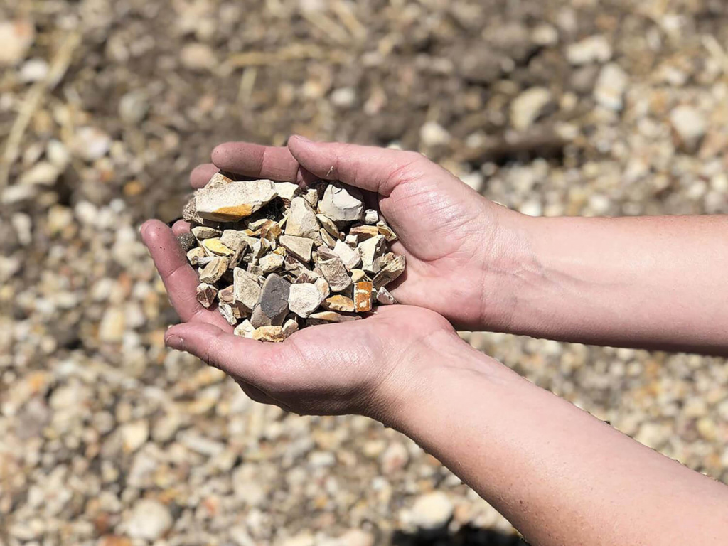 41158181_10155369654445670_6910353357060177920_o (1).jpg