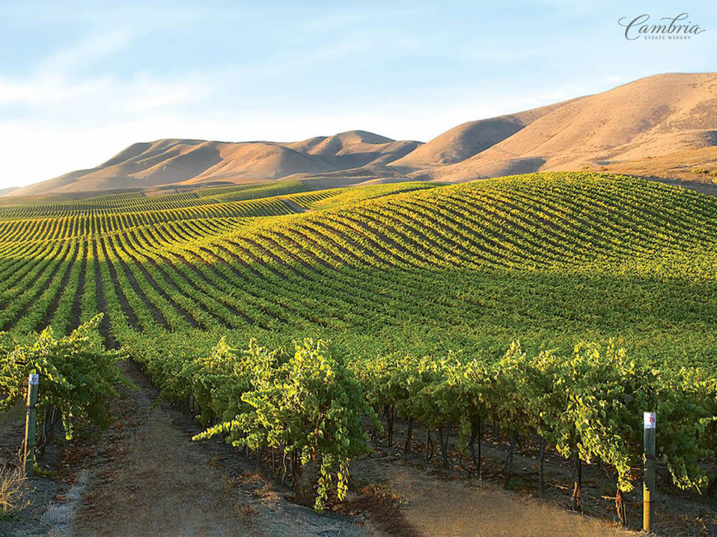 41552601_10155379430195670_2636392883543867392_o (1).jpg