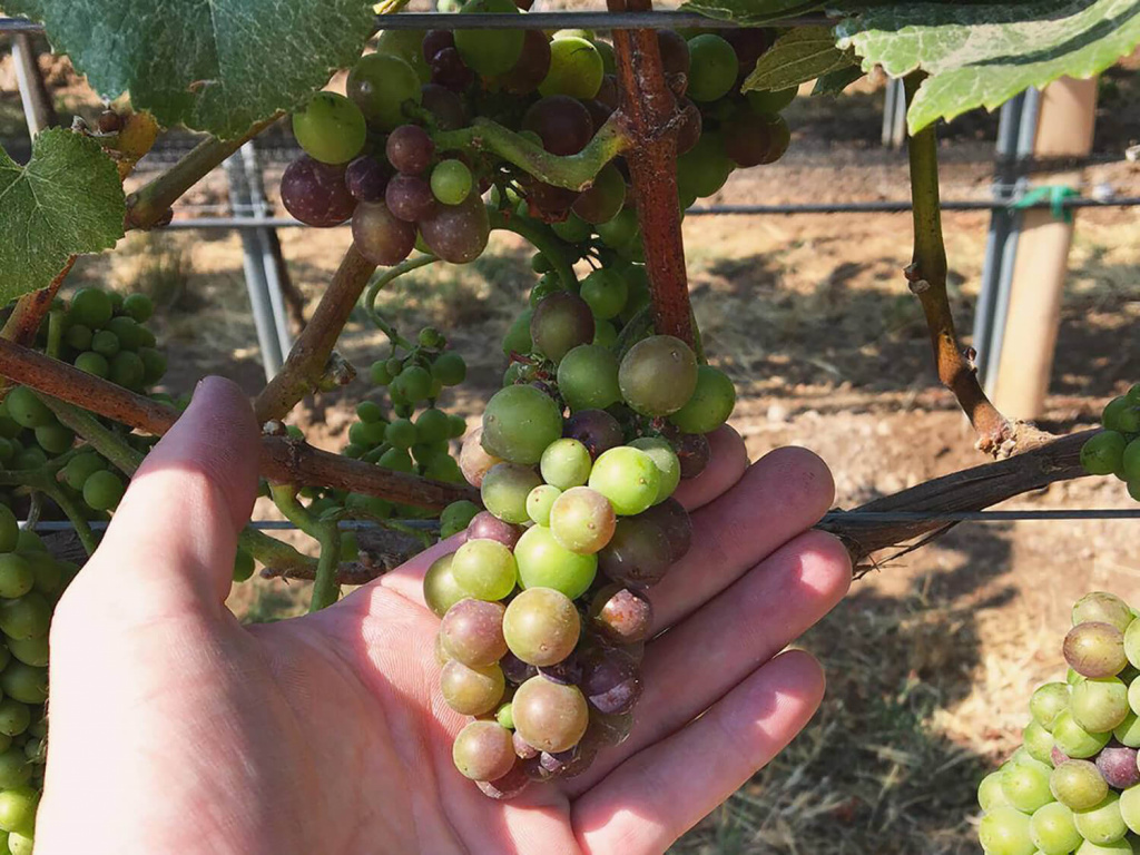 19984085_10154455498610670_4471302212381231319_o (1).jpg