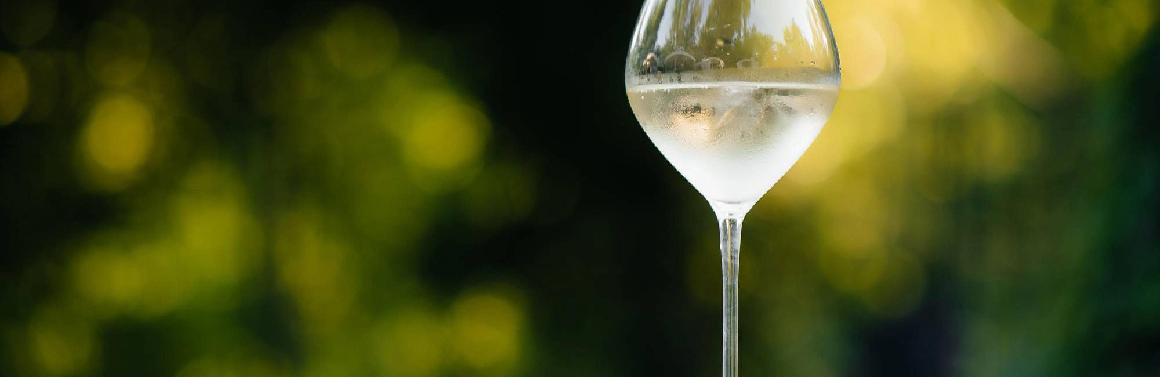 Молодо-зелено: гид по стилю винью верде